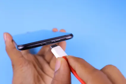 بلاي ليون كازينو تطبيق الهاتف المحمول